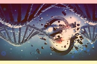 高校批量下场做VC超70万件科技成果加速转化
